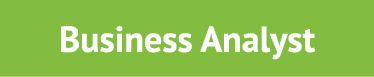 Business Analyst