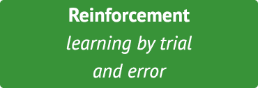 Reinforcement learning by trial and error
