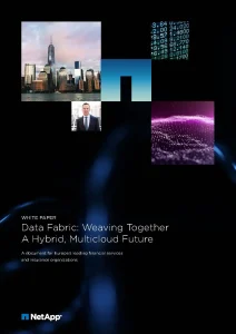 NET003_FIS_Data_Fabric_Whitepaper_11_Page_01